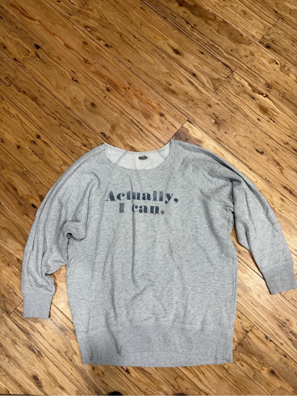 aerie Light Gray Pullover Sweatshirt with Navy Script Logo